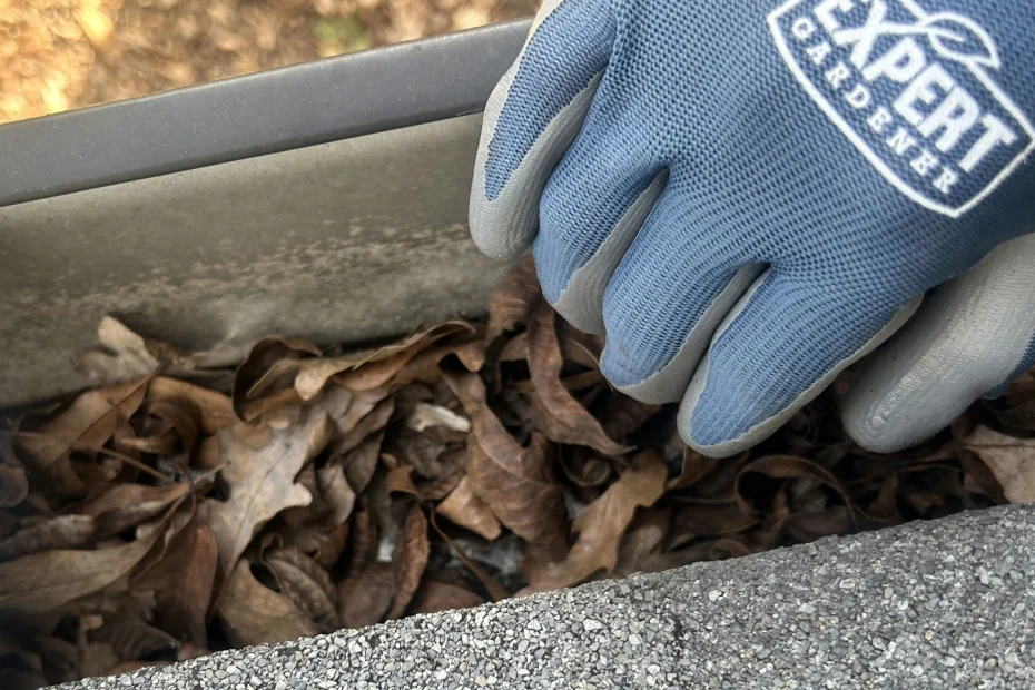 Gutter Cleaning Bladensburg