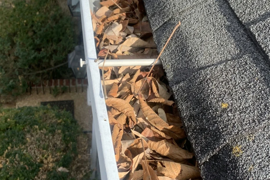 Gutter Cleaning Bladensburg