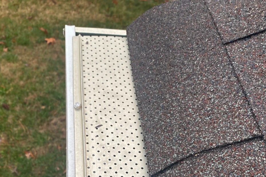 Gutter Cleaning Bladensburg