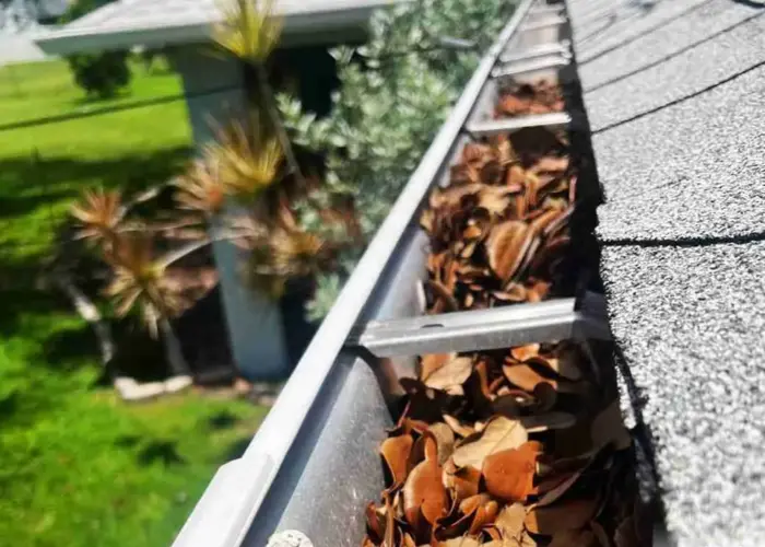 Gutter Cleaning Bladensburg home page